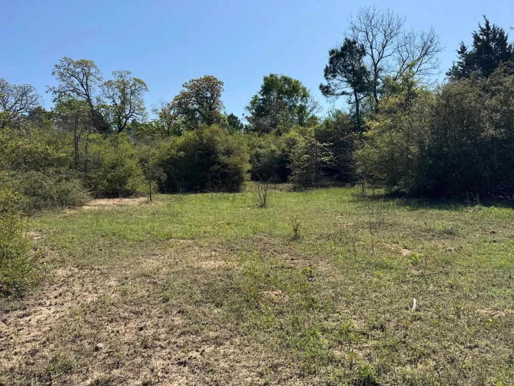 2954 Cr 2170 Grapeland, TX 75844