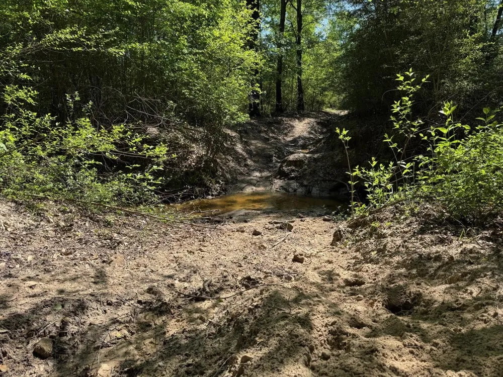 2954 Cr 2170 Grapeland, TX 75844