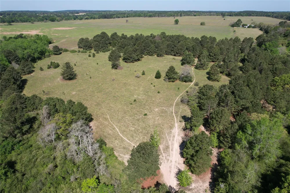2954 Cr 2170 Grapeland, TX 75844