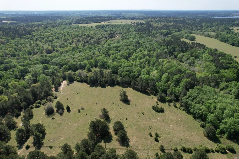 2954 Cr 2170 Grapeland, TX 75844
