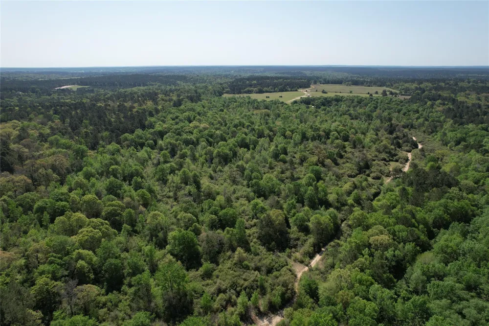2954 Cr 2170 Grapeland, TX 75844