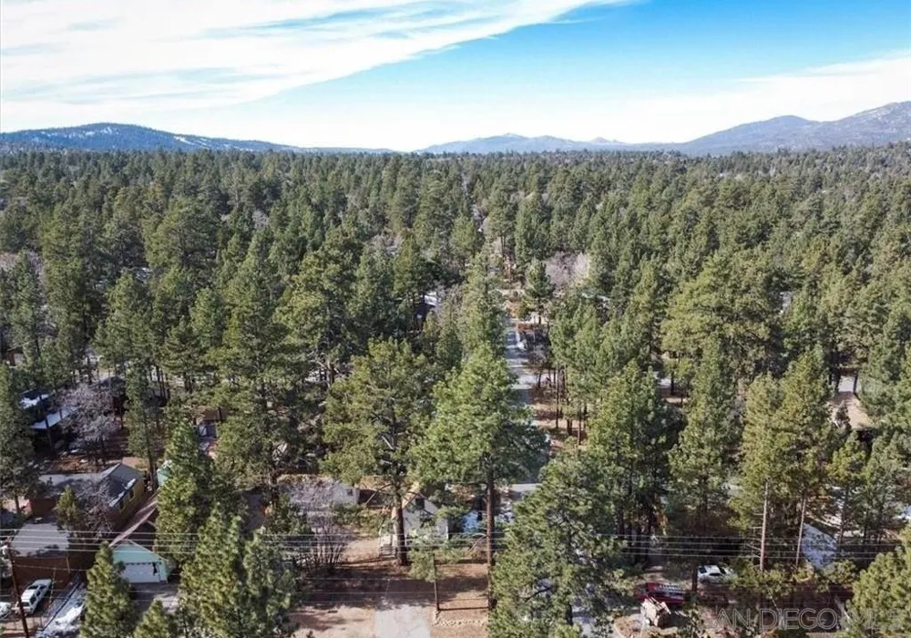 298 Maple Sugarloaf, CA 92386