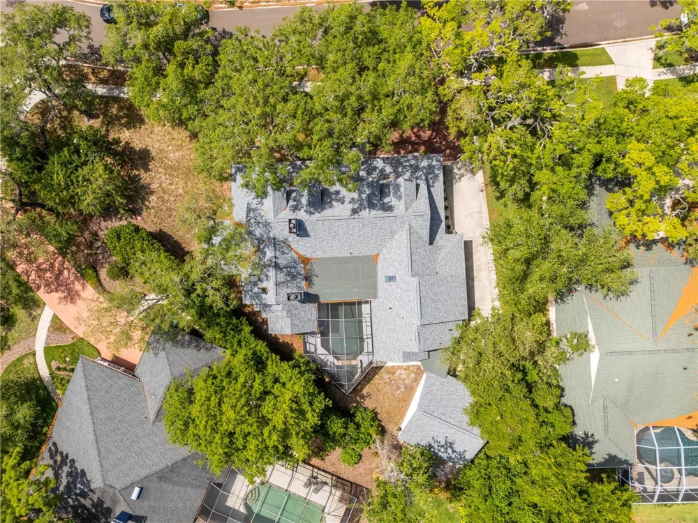 335 SANCTUARY DRIVE Crystal Beach, FL 34681