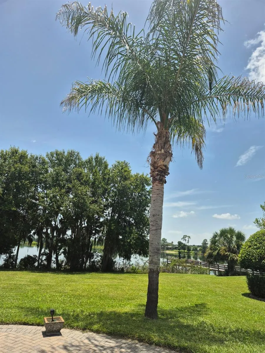 389 NOLANE LANE Polk City, FL 33868