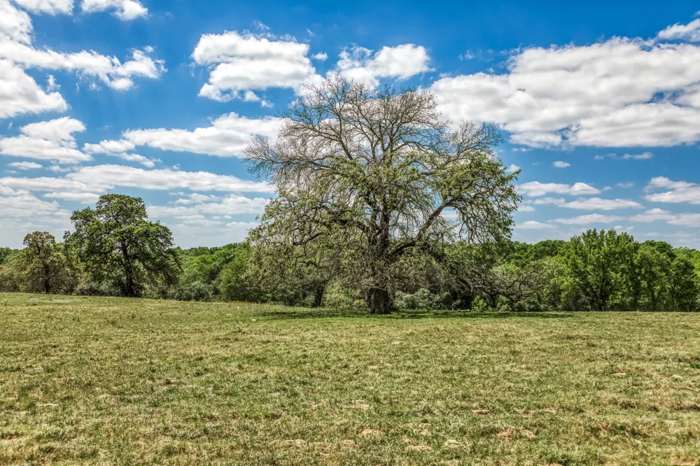 11320 County Road 343 Caldwell, TX 77836