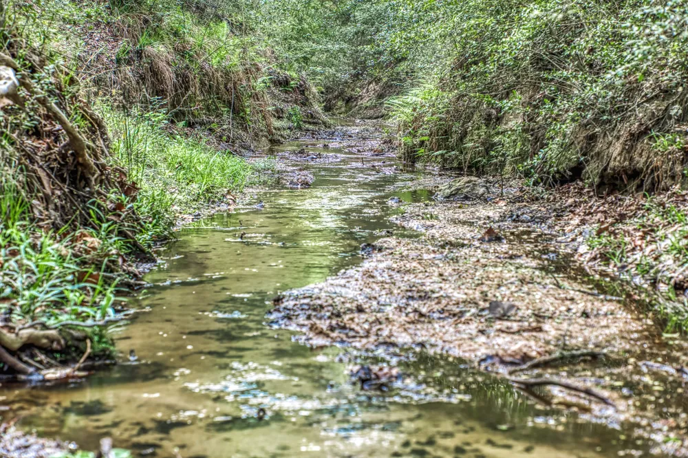 11320 County Road 343 Caldwell, TX 77836