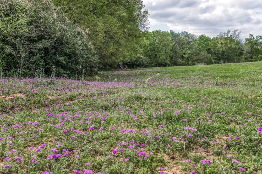 11320 County Road 343 Caldwell, TX 77836