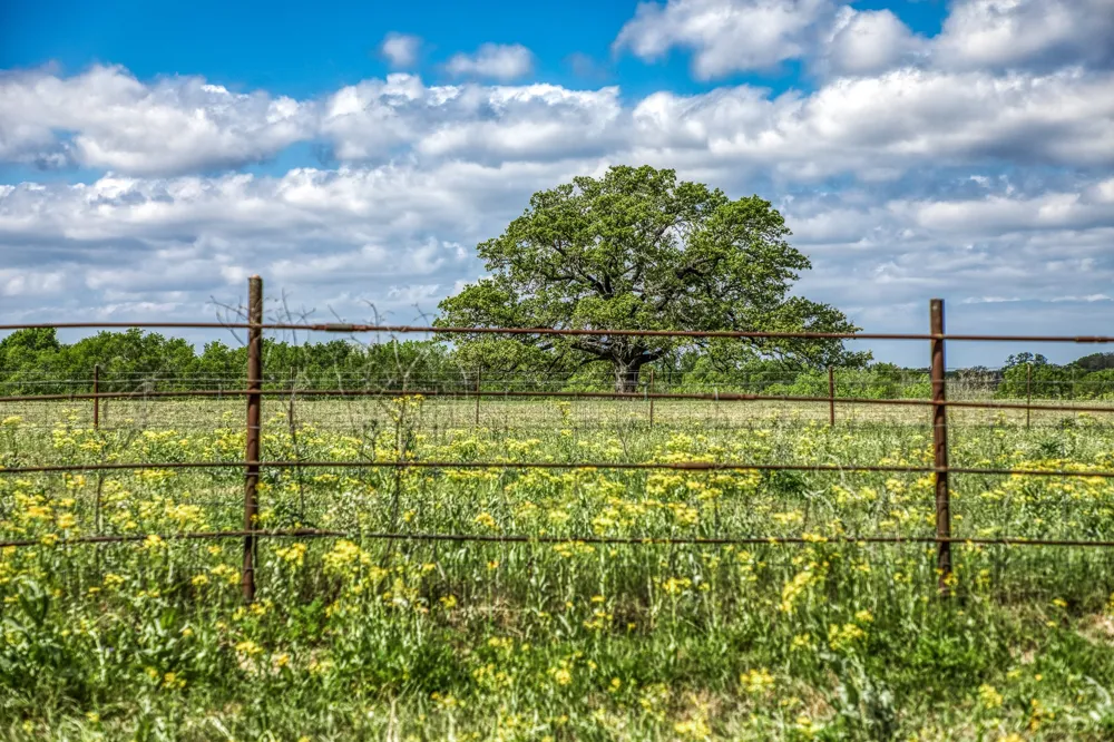 11320 County Road 343 Caldwell, TX 77836
