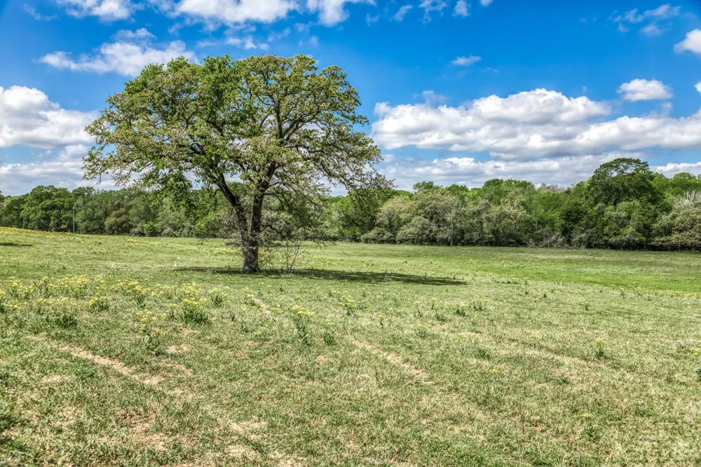 11320 County Road 343 Caldwell, TX 77836