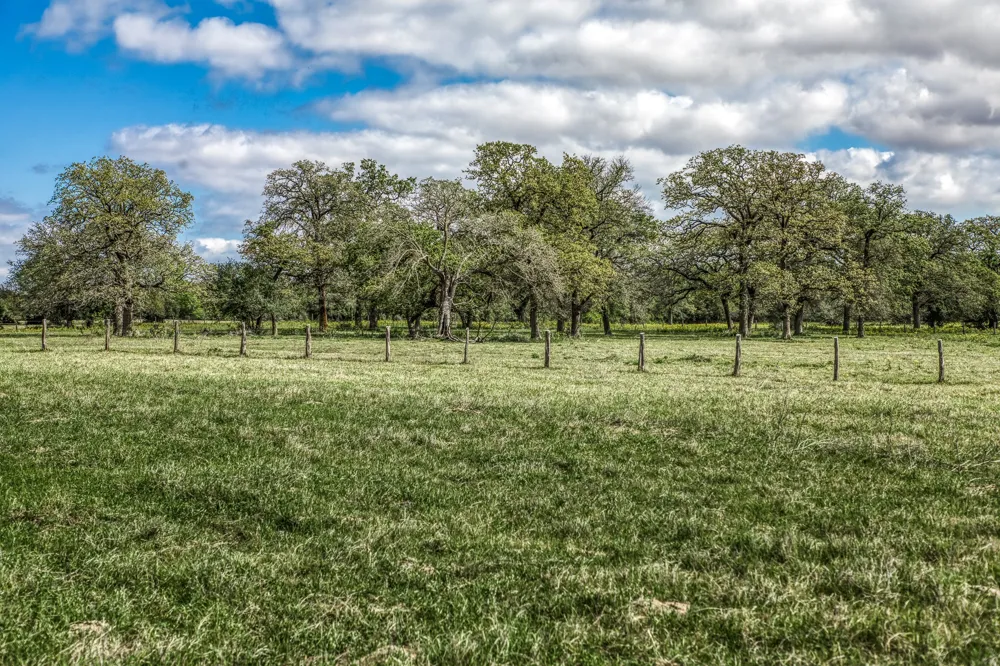 11320 County Road 343 Caldwell, TX 77836