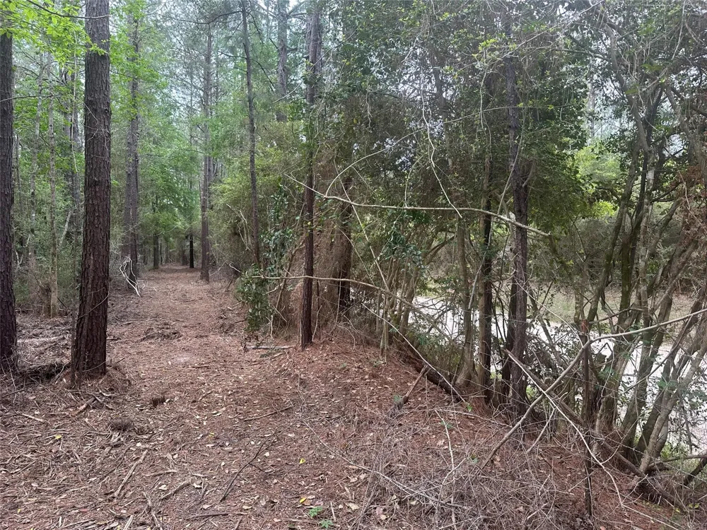 Cr 3114 Buna, TX 77612