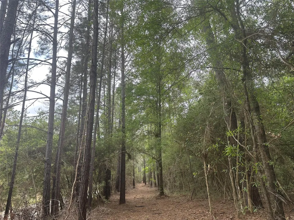 Cr 3114 Buna, TX 77612