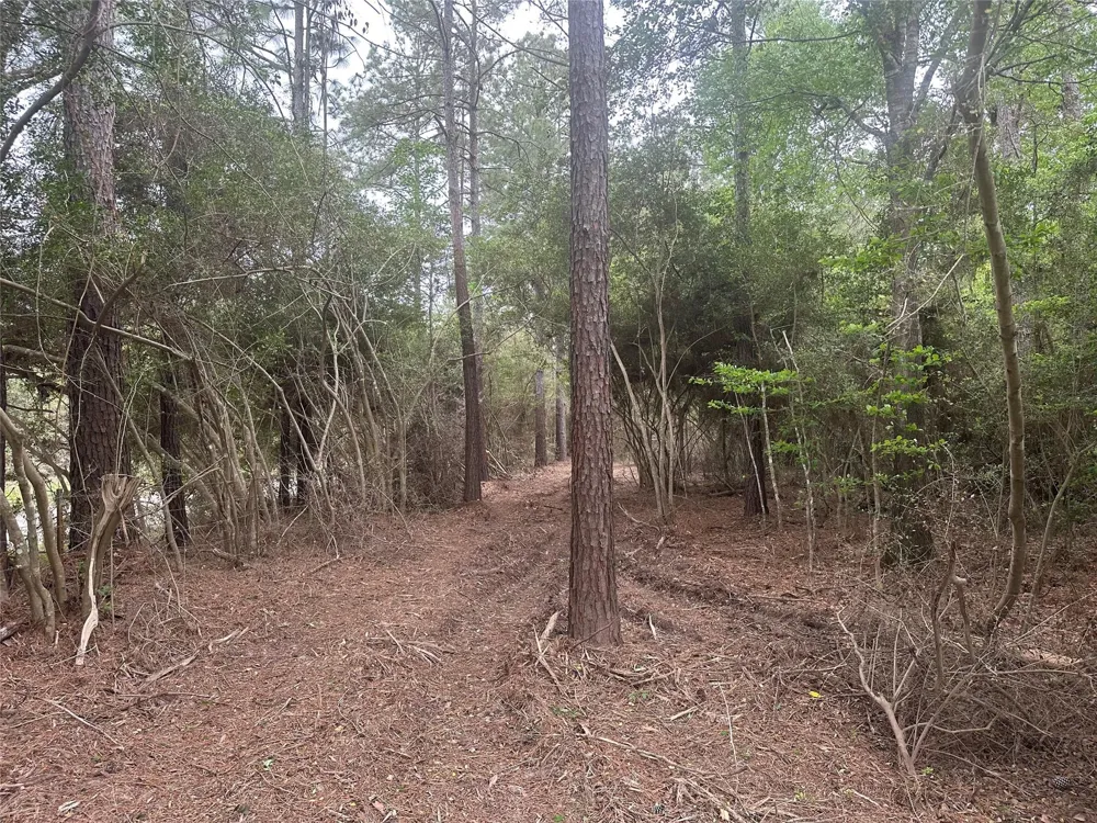 Cr 3114 Buna, TX 77612