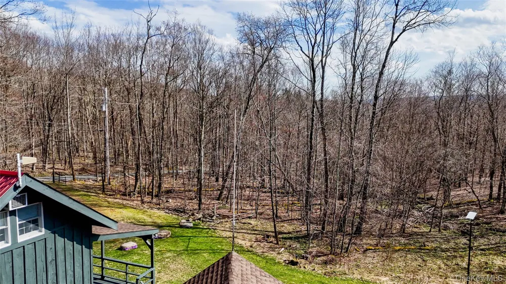 1895 Horse Brook Road Roscoe, NY 12776