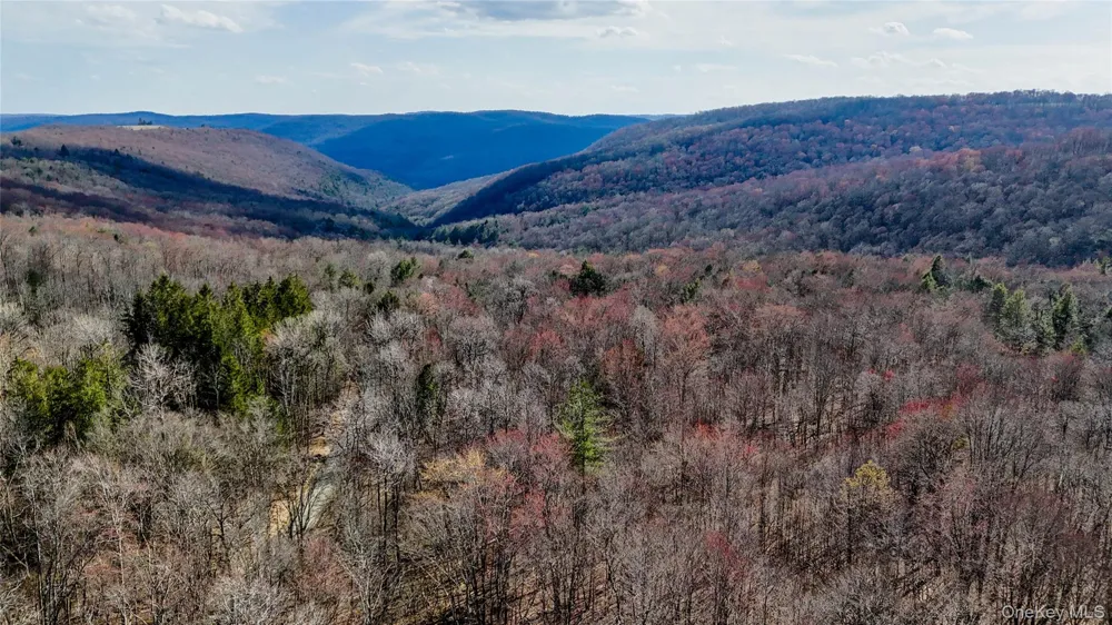 1895 Horse Brook Road Roscoe, NY 12776