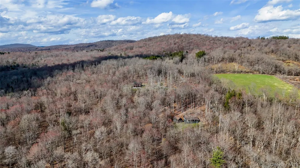 1895 Horse Brook Road Roscoe, NY 12776