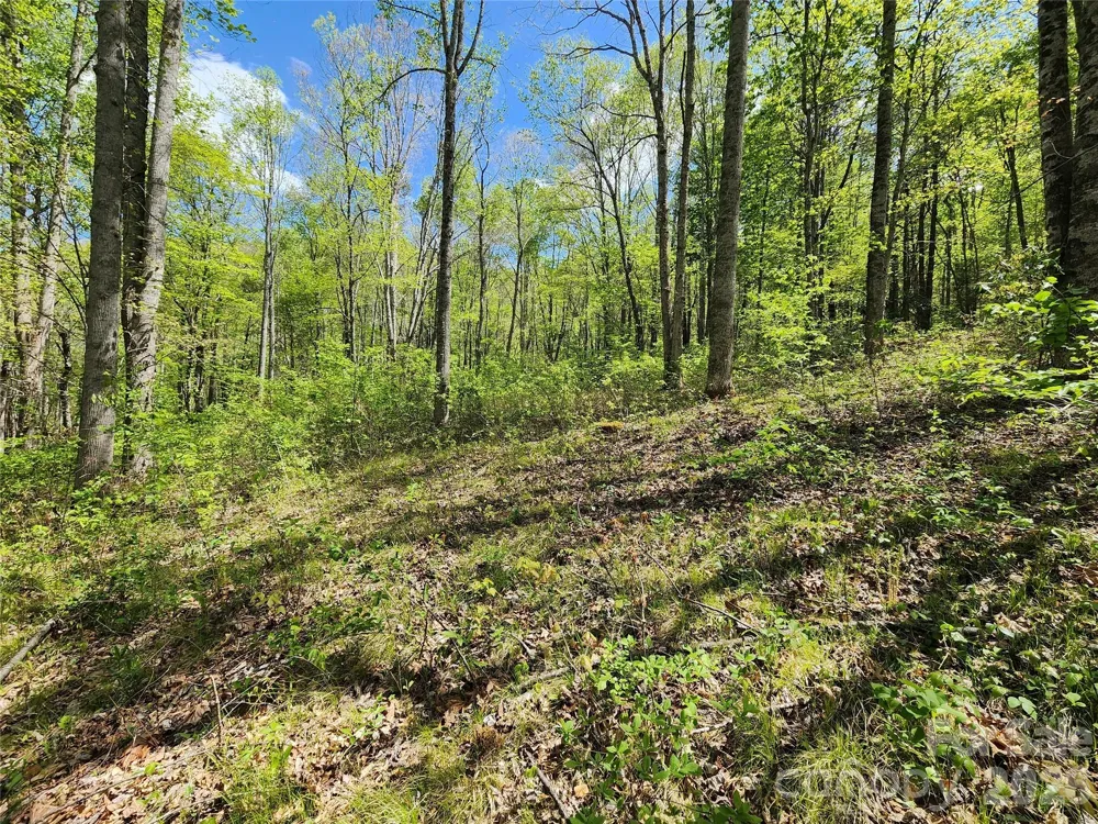 165 Wagon Wheel Way #2 Canton, NC 28716