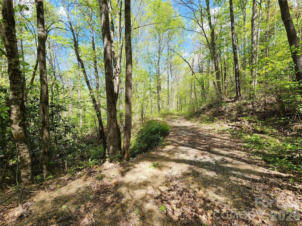 165 Wagon Wheel Way #2 Canton, NC 28716