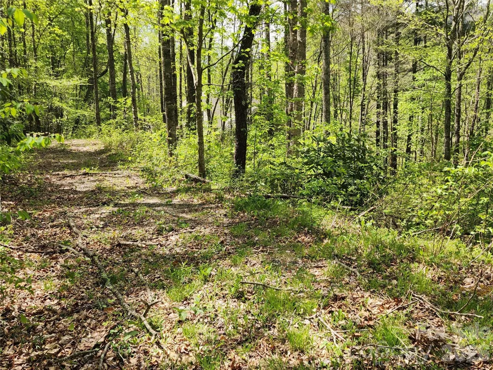 165 Wagon Wheel Way #2 Canton, NC 28716