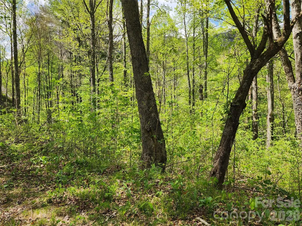 165 Wagon Wheel Way #2 Canton, NC 28716