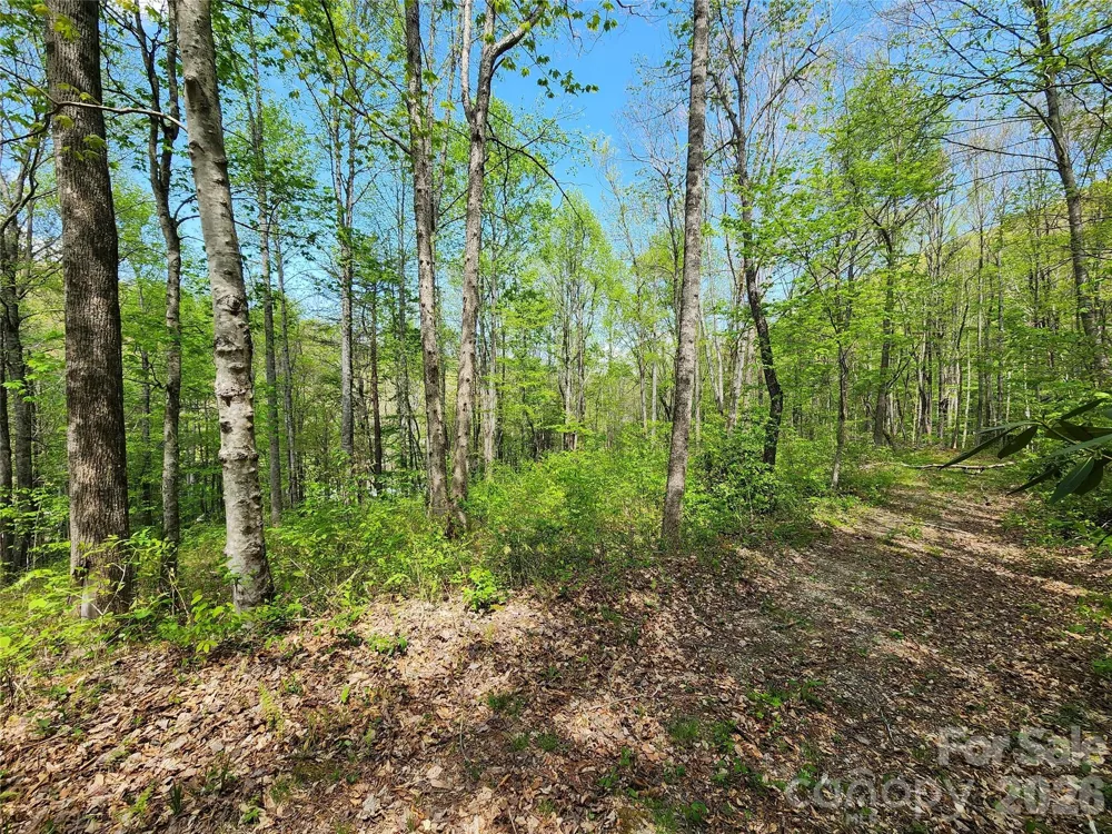 165 Wagon Wheel Way #2 Canton, NC 28716