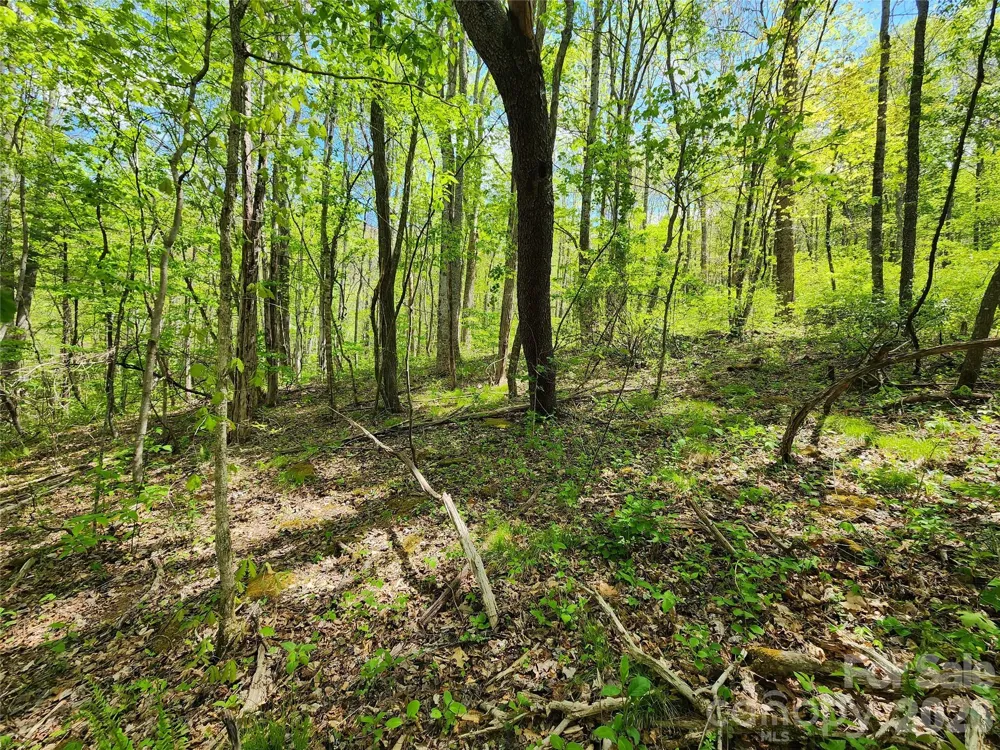 165 Wagon Wheel Way #2 Canton, NC 28716