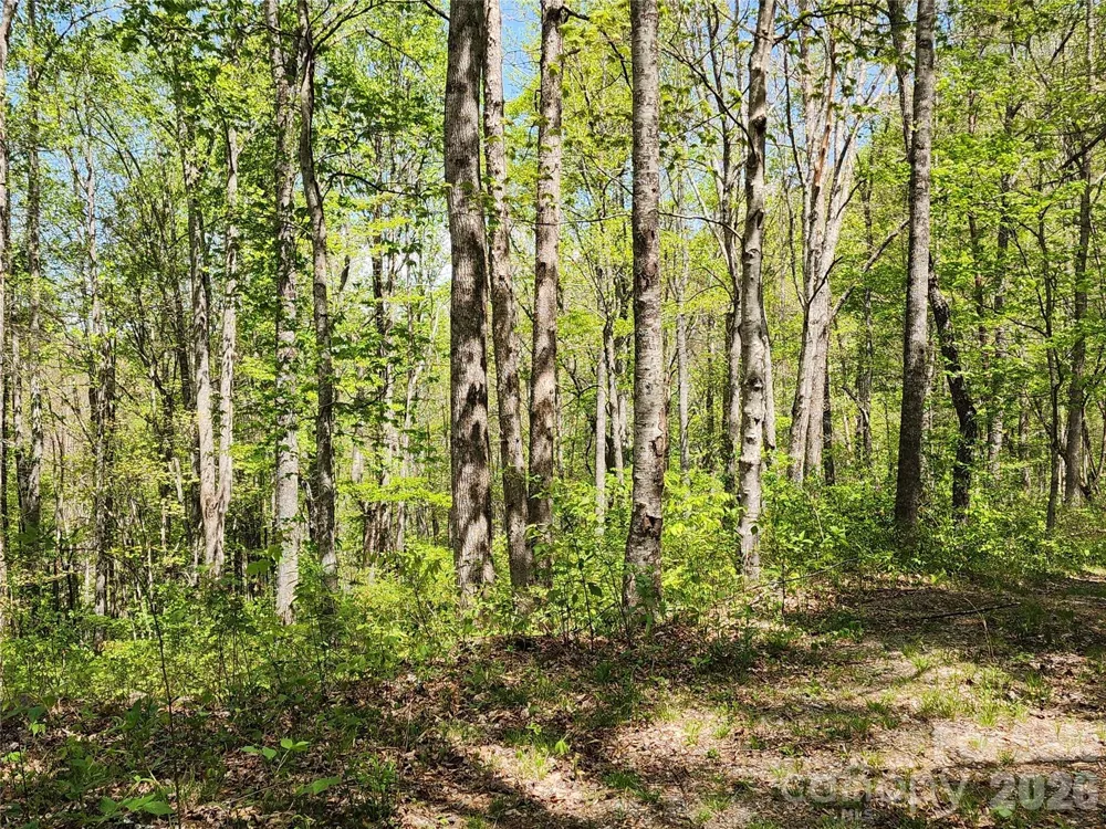 165 Wagon Wheel Way #2 Canton, NC 28716