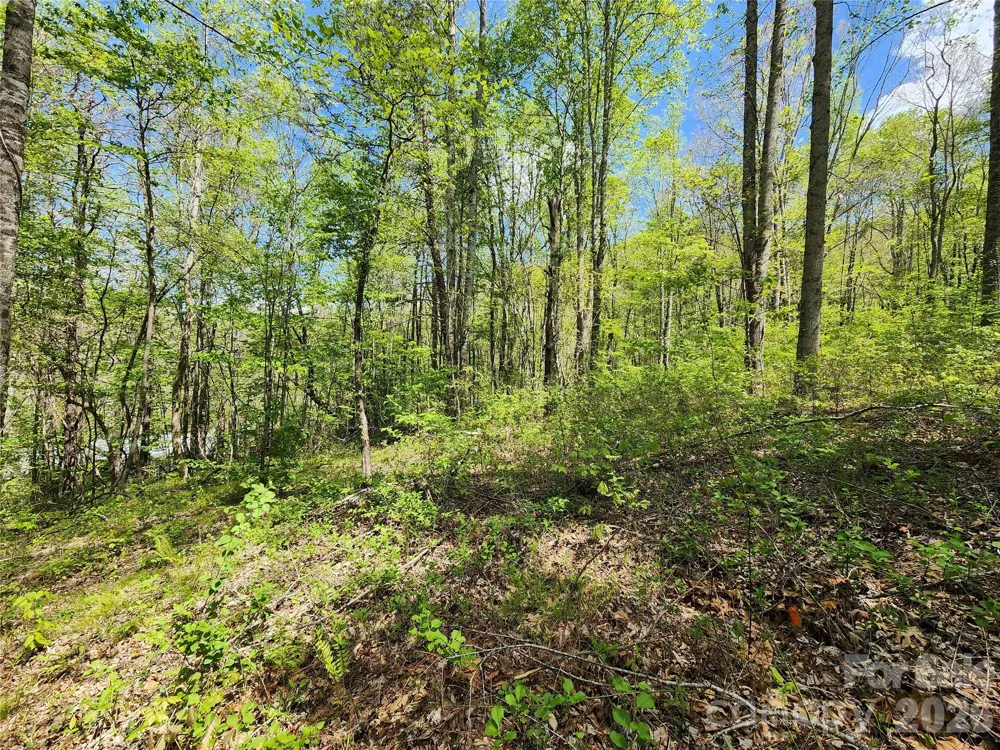 165 Wagon Wheel Way #2 Canton, NC 28716