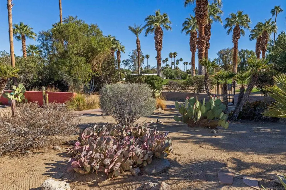 119 Montezuma Rd Borrego Springs, CA 92004