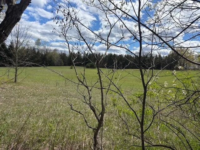 20 Mile Road Paris, MI 49338