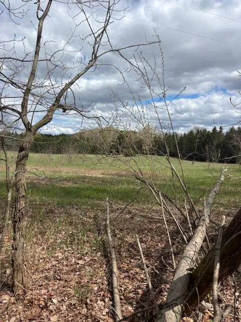 20 Mile Road Paris, MI 49338