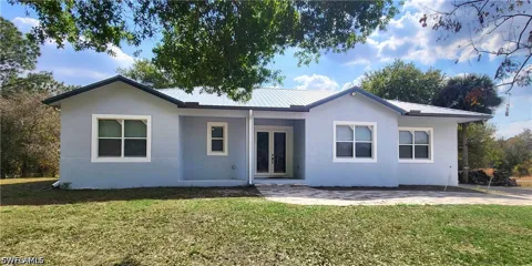 Bald Cypress Avenue
