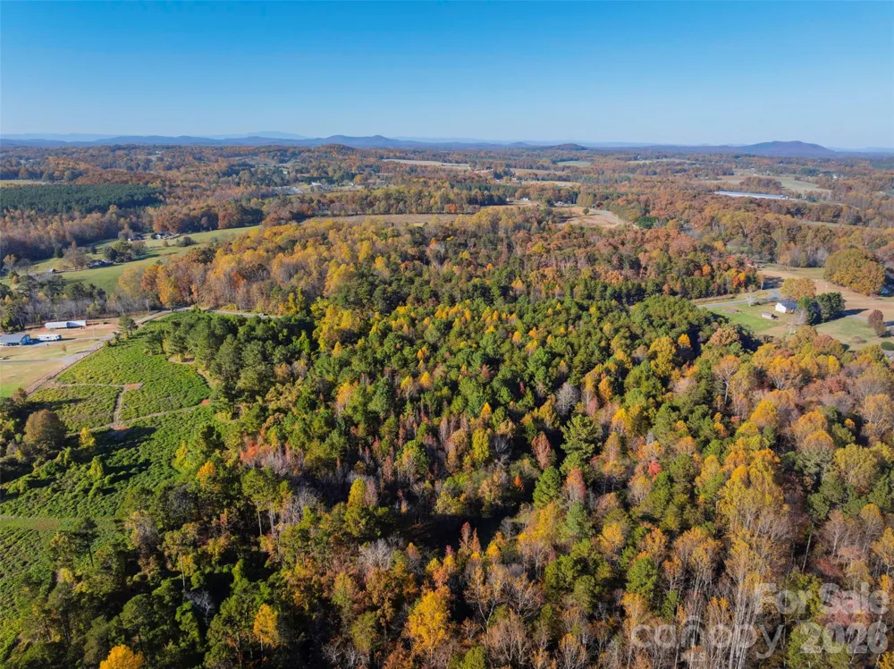 0000 Bud Davis Road #7 Vale, NC 28168