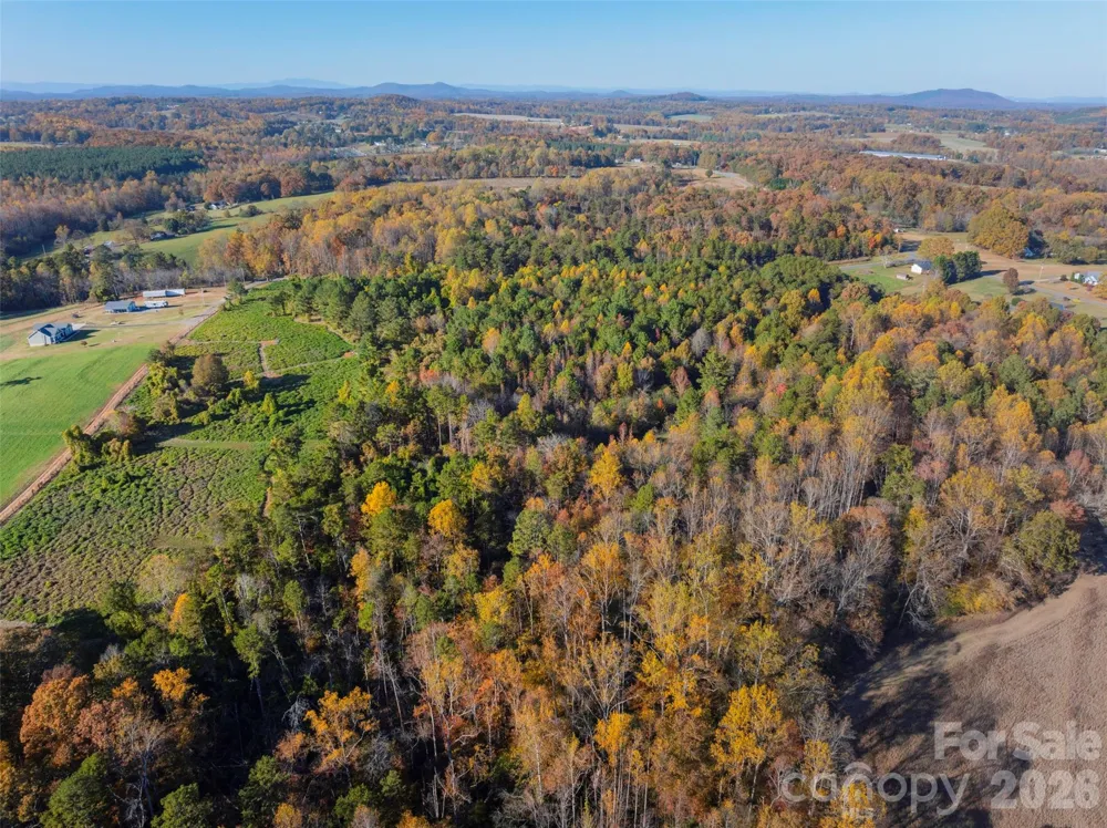 0000 Bud Davis Road #7 Vale, NC 28168