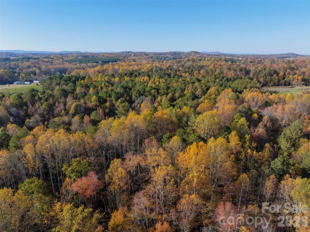 0000 Bud Davis Road #7 Vale, NC 28168