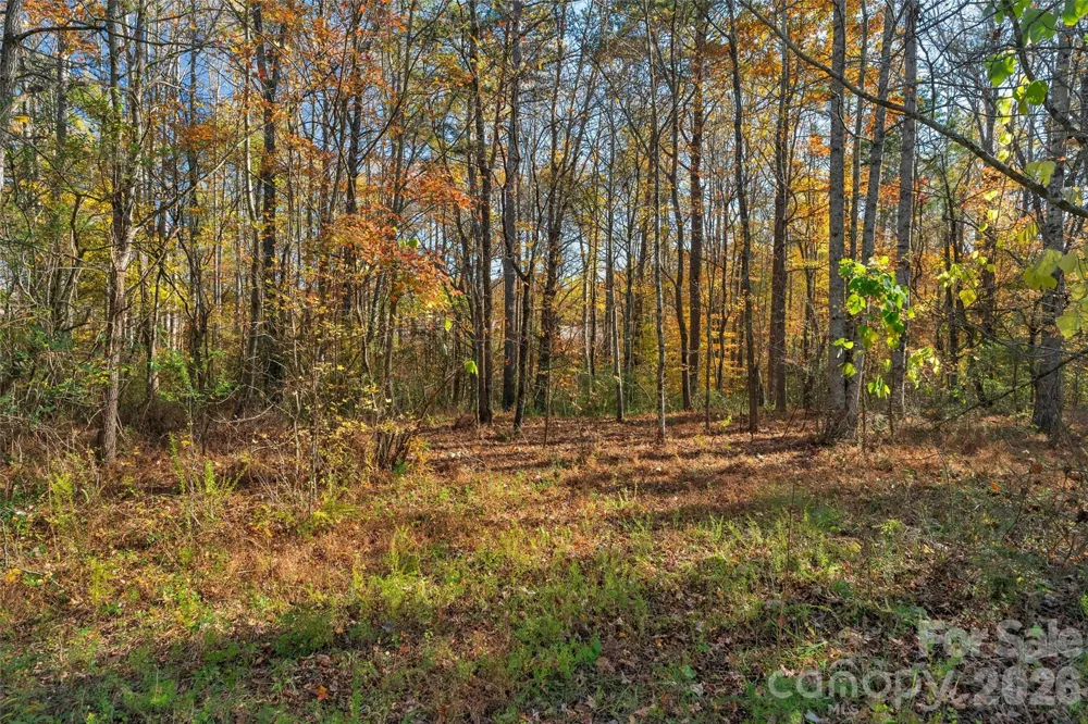 0000 Bud Davis Road #7 Vale, NC 28168