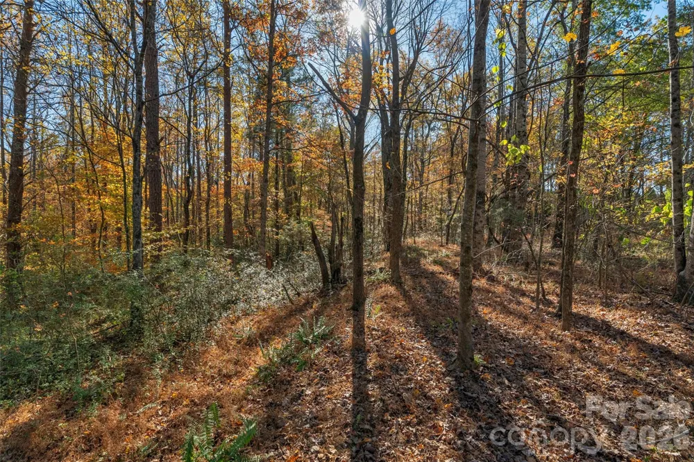 0000 Bud Davis Road #7 Vale, NC 28168