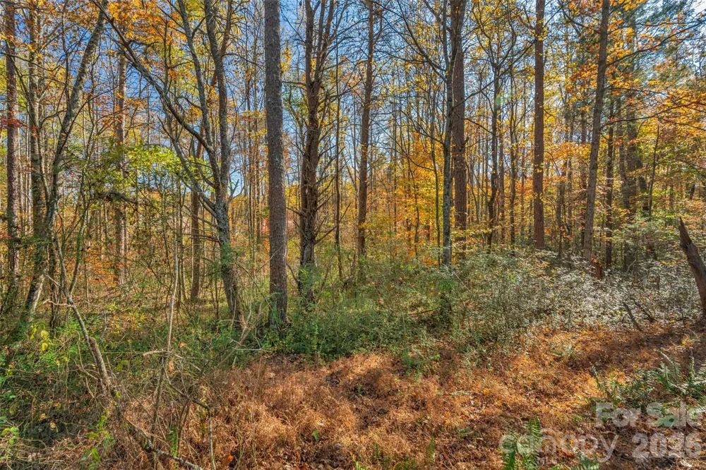 0000 Bud Davis Road #7 Vale, NC 28168