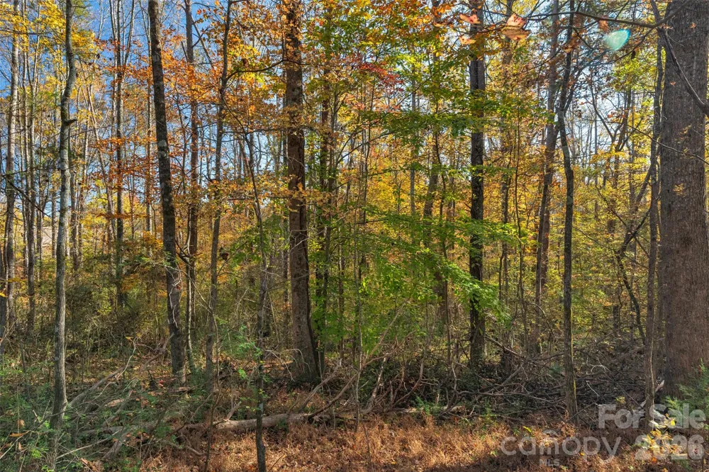 0000 Bud Davis Road #7 Vale, NC 28168