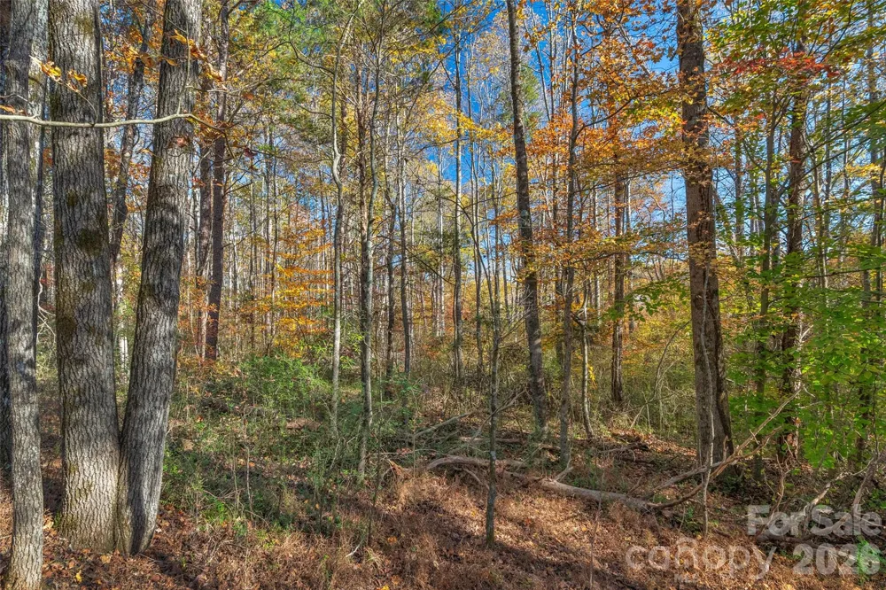 0000 Bud Davis Road #7 Vale, NC 28168