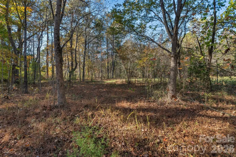 0000 Bud Davis Road #7 Vale, NC 28168