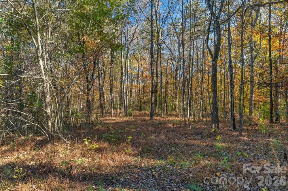 0000 Bud Davis Road #7 Vale, NC 28168