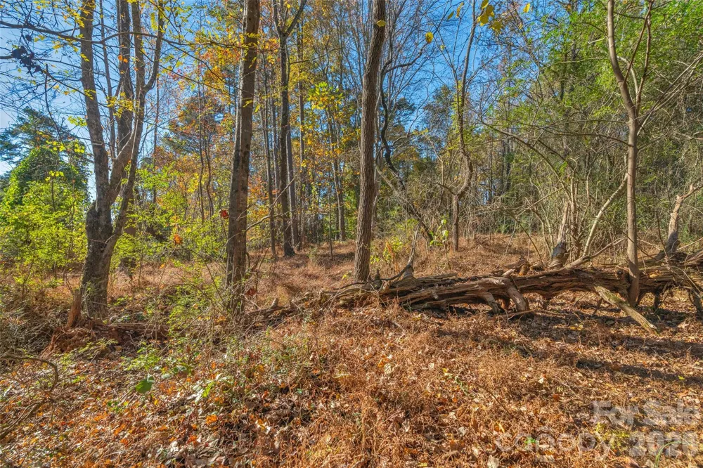 0000 Bud Davis Road #7 Vale, NC 28168