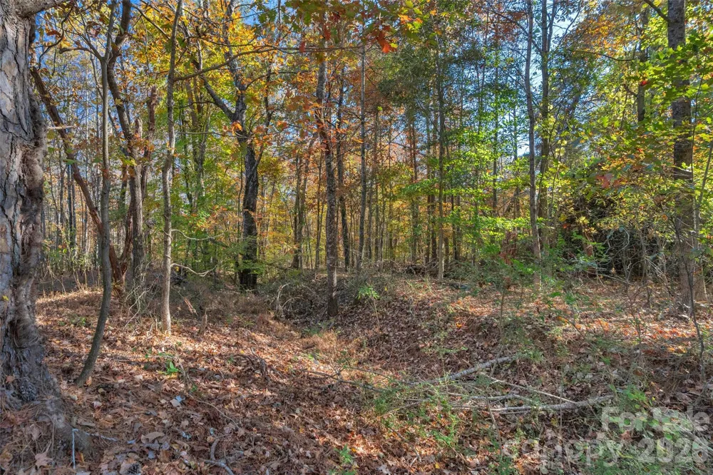 0000 Bud Davis Road #7 Vale, NC 28168