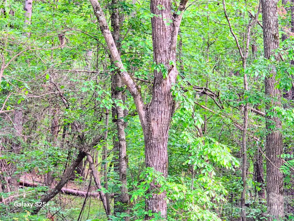 VAC Stony Gap Road Albemarle, NC 28001