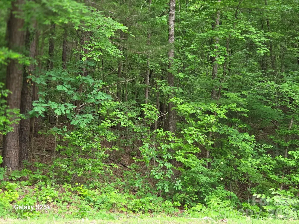 VAC Stony Gap Road Albemarle, NC 28001
