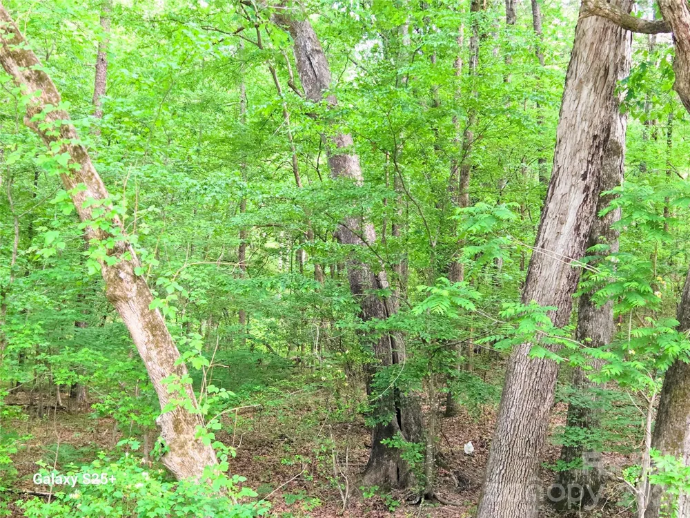 VAC Stony Gap Road Albemarle, NC 28001