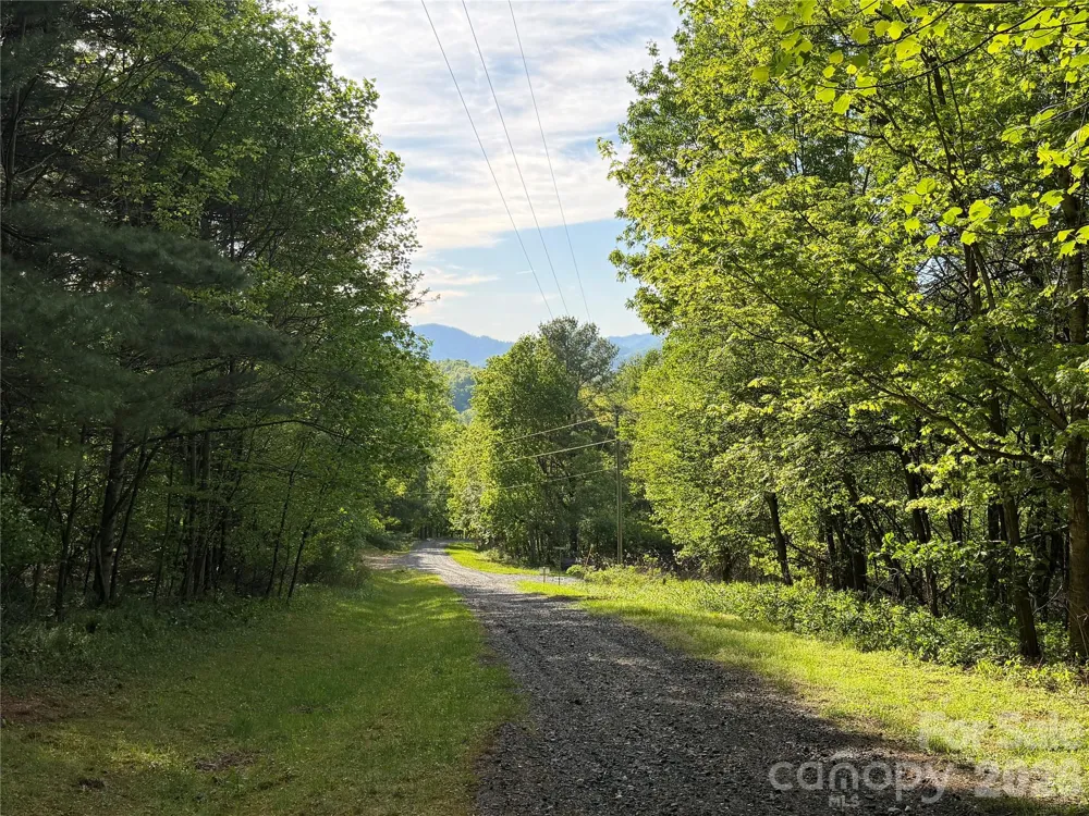 00000 Apple Farm Road Bakersville, NC 28705