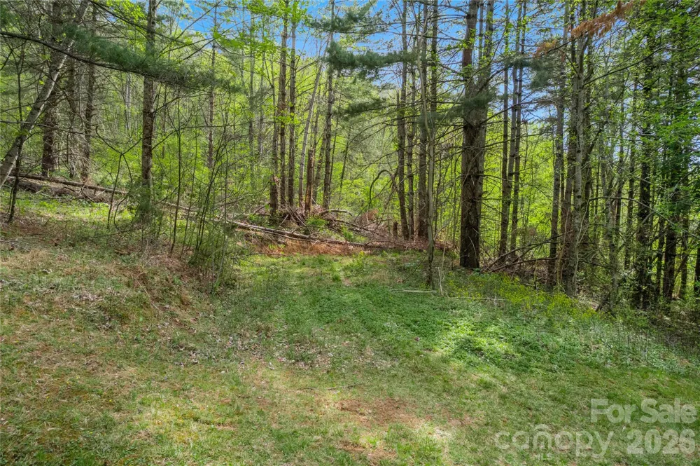 00000 Apple Farm Road Bakersville, NC 28705