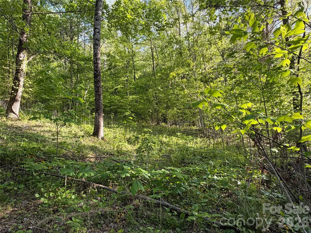 00000 Apple Farm Road Bakersville, NC 28705